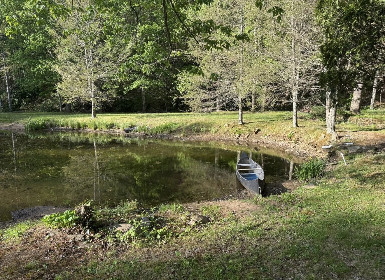 Canoe resting on the grassy bank of the pond